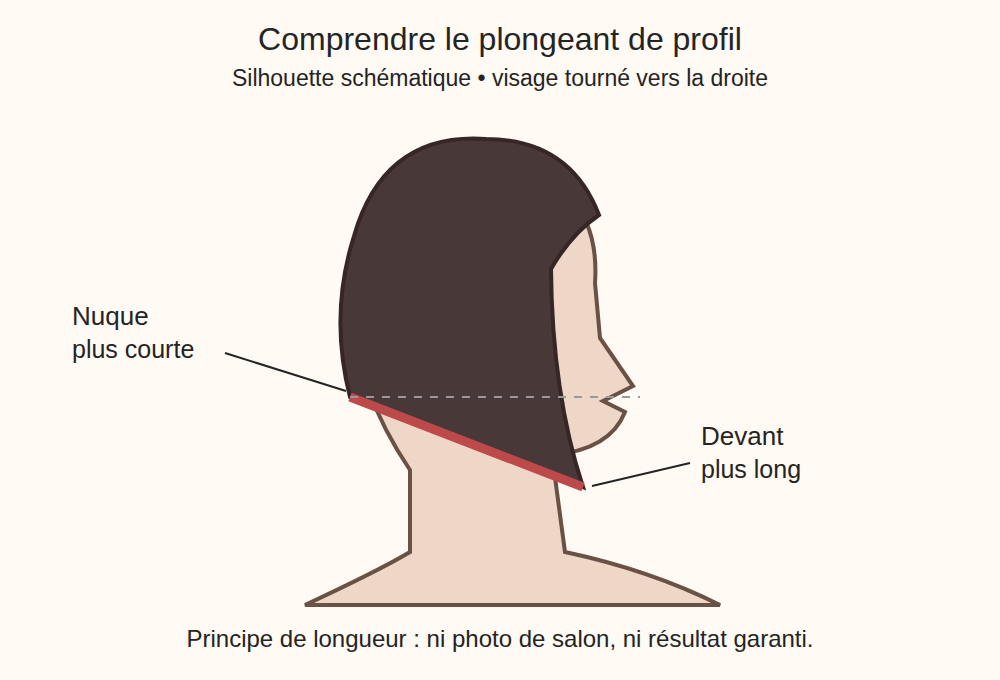 Schéma de profil d’un carré plongeant : nuque plus courte, mèches avant plus longues.