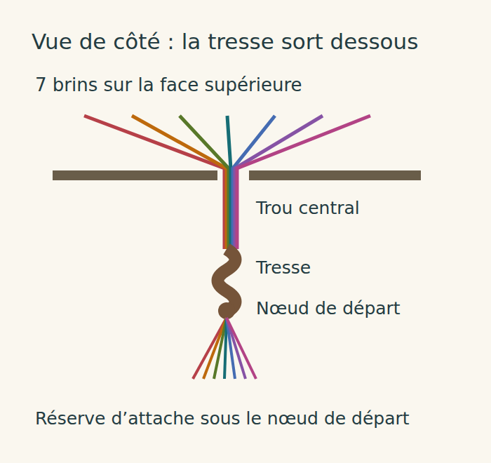 Vue de côté schématique : sept brins au-dessus, tresse au trou central et réserve sous le nœud